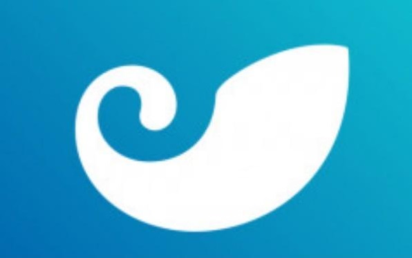 usdt用什么钱包提现